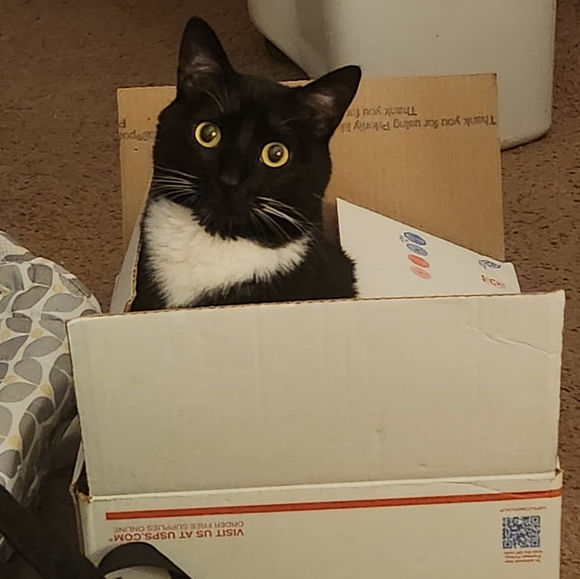 Hello🥰 I am Dody/ MiMi😍 - Picture 8 of 16